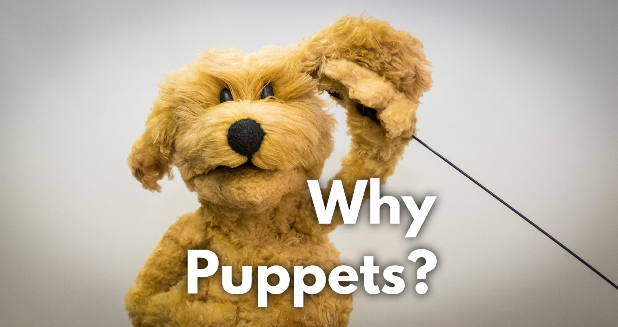 Puppets for Disability Awareness